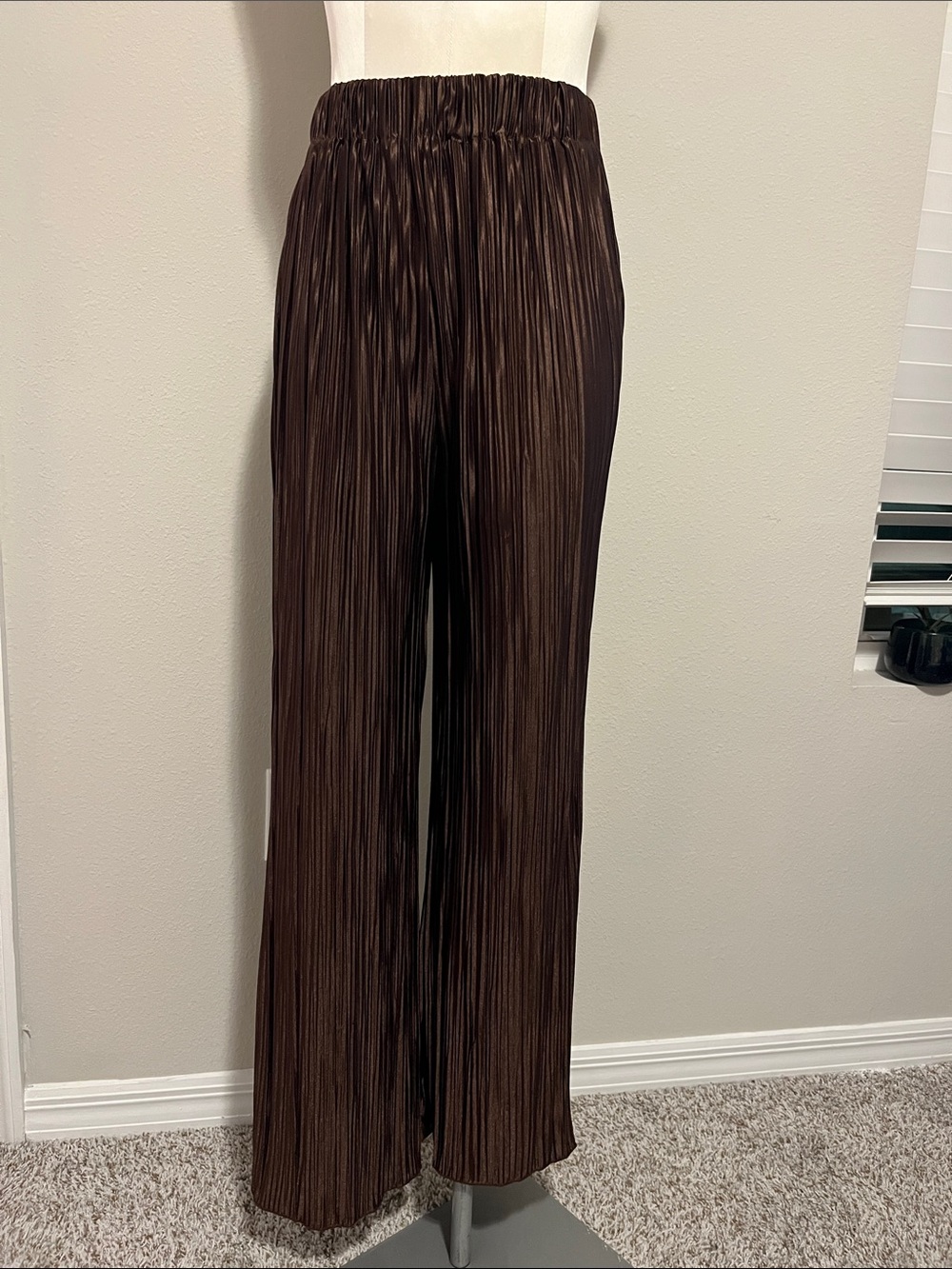 NWOT Pleated Wide-Leg Palazzo Pants in Deep Brown